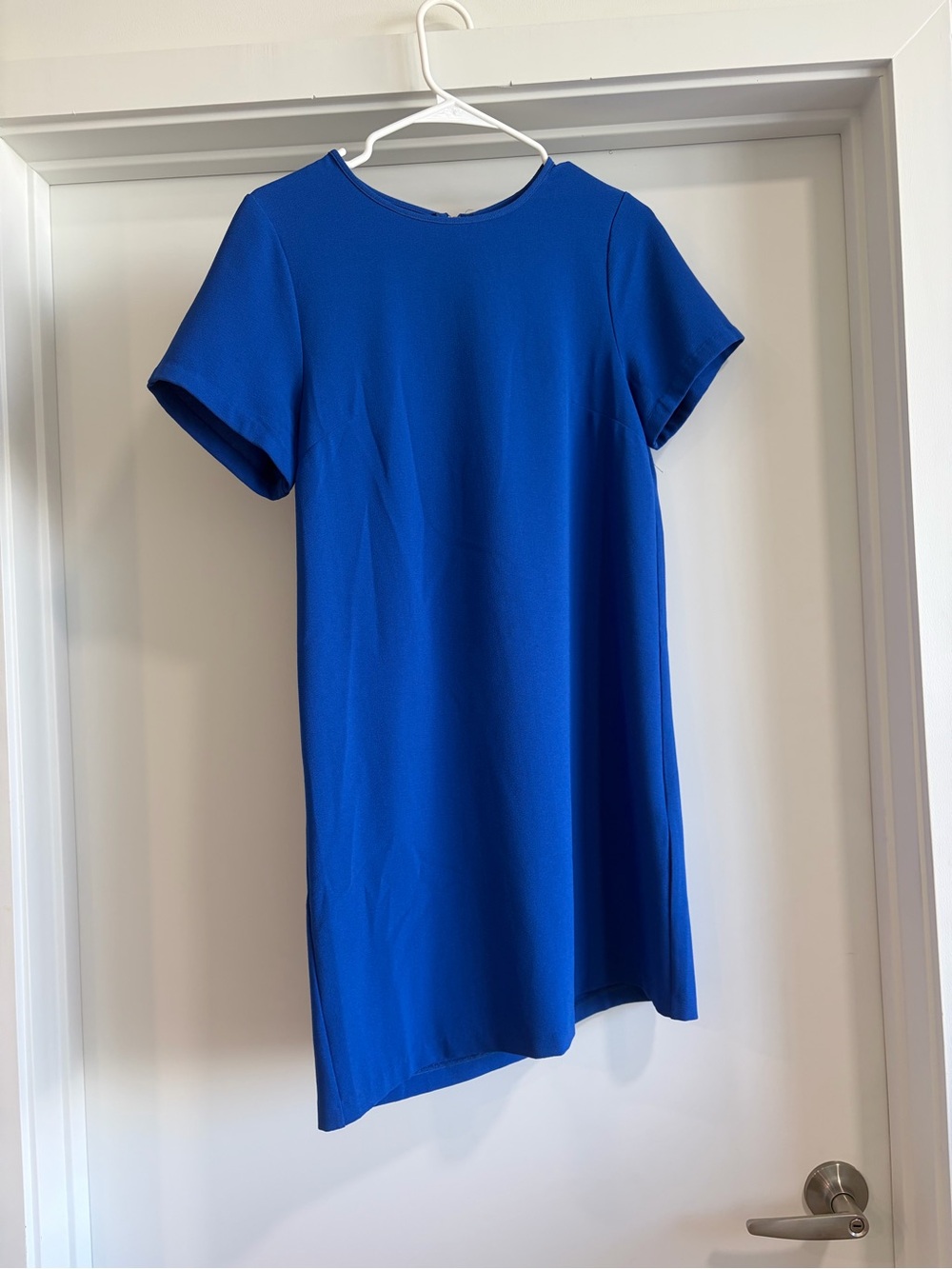 Felicity & Coco Short-Sleeve Shift Dress in Cobalt Blue